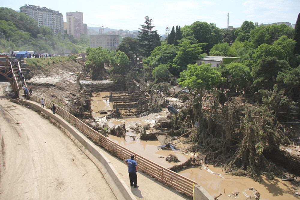 Тбилисский зоопарк после наводнения, которое произошло в ночь на 14 июня в столице Грузии, оказался почти полностью разрушен.