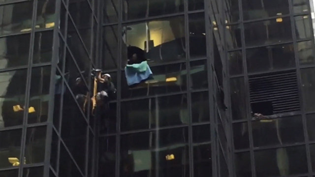 В Нью-Йорке мужчина взобрался на небоскреб Trump tower