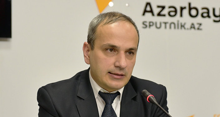 Samir Əliyev, iqtisadçı-ekspert