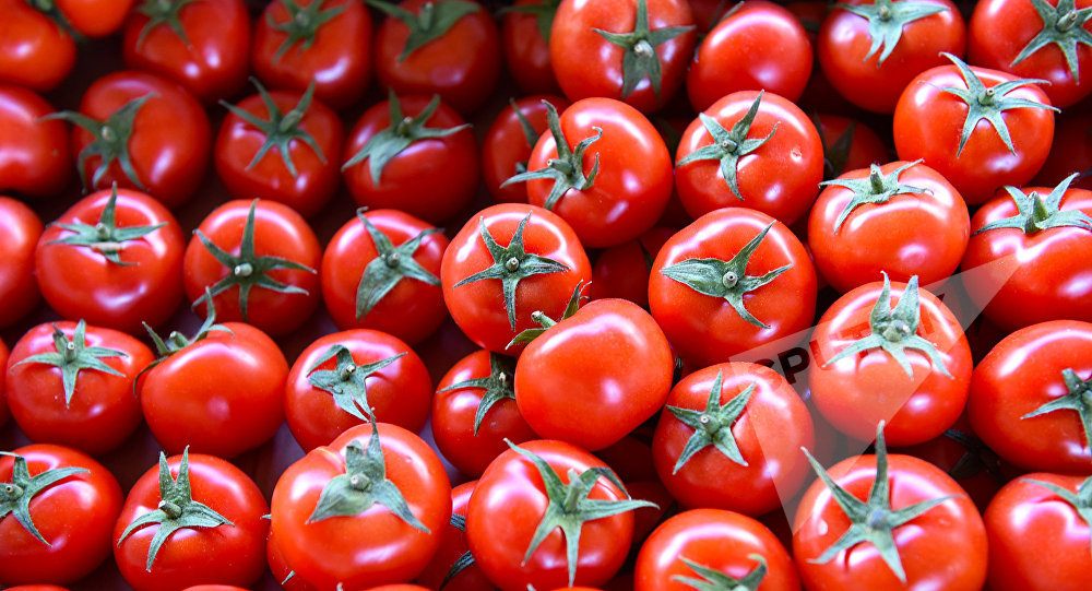 Россельхознадзор не пустил в Дагестан азербайджанские помидоры