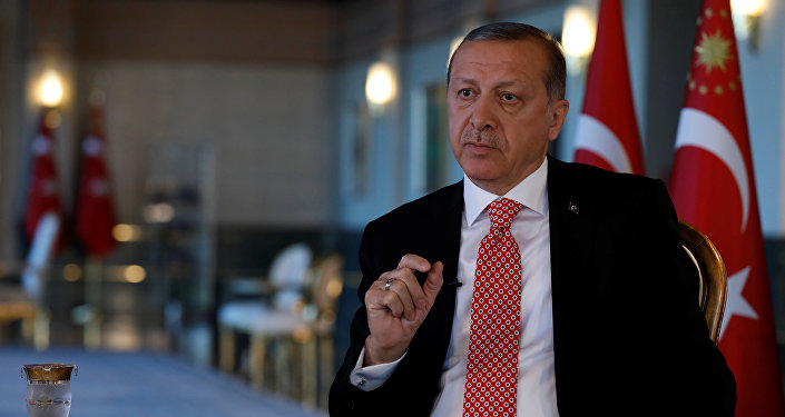 Президент Турции Реджеп Тайип Эрдоган в ходе интервью агентству Reuters Анкара