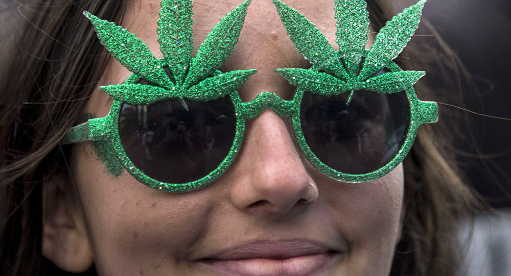 Смешная конопля за какое количество марихуаны не посадят