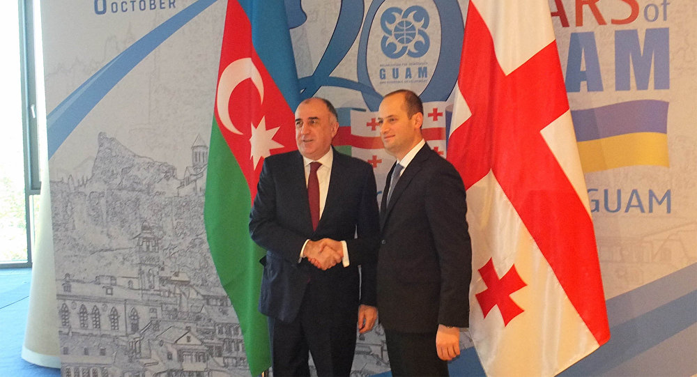 Руководитель МИД Азербайджана 8 октября посетит Грузию