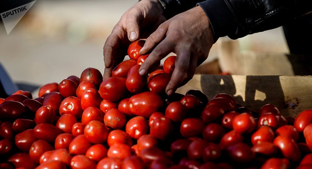 Армянские помидоры могут не попасть в Россию