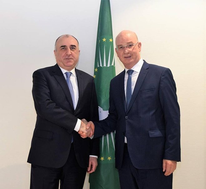 Министр иностранных дел Азербайджана встретился с Президентом Эфиопии